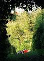 25ste Herfstwandeling van Armand en Judith op 23-10-2011 (49)